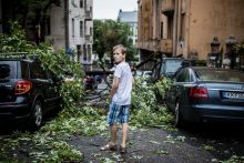 Vihar után
Hatalmas vihar pusztított országszerte 2015. július 8-án milliárdos károkat okozva. Egy fiú döbbenten áll a budapesti Ág utcában a ledőlt fák és összetört autók között.