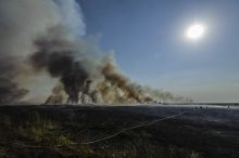 Tűz2
Tűzoltók a Hortobágyi Nemzeti Park területén lévő tűznél, Nádudvar határában 2015. augusztus 12-én. 