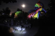 Állatkertek éjszakája
Fényfestés a régi elefántházon háttérben a teliholddal, előtérben a zebrák a látogatók zseblámpája fényében az Állatkertek éjszakája rendezvényen a Fővárosi Állat- és Növénykertben  2015. augusztus 28
